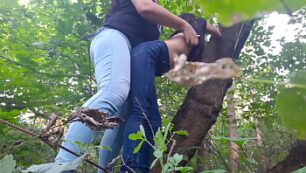 En el bosque